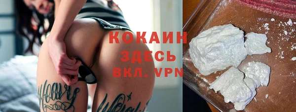 мет Магас