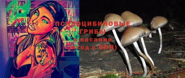 хмурый Майский
