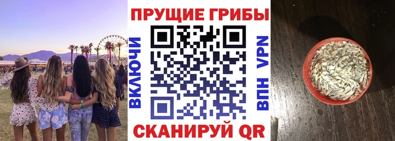 Псилоцибиновые грибы ЛСД Щёлково
